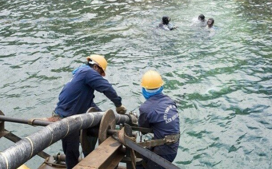 Cáp quang biển AAG dự kiến sẽ được 'hồi phục' vào ngày 9/9