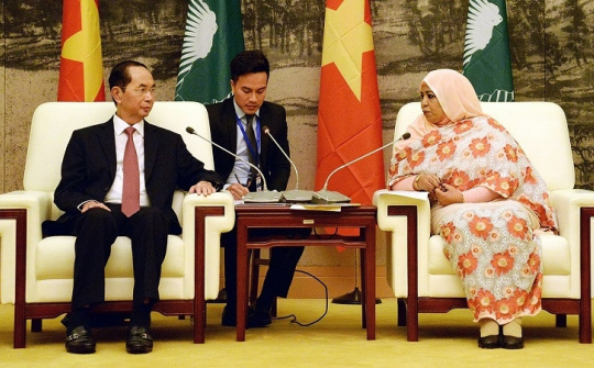Vietnam treasures ties with African nations: President