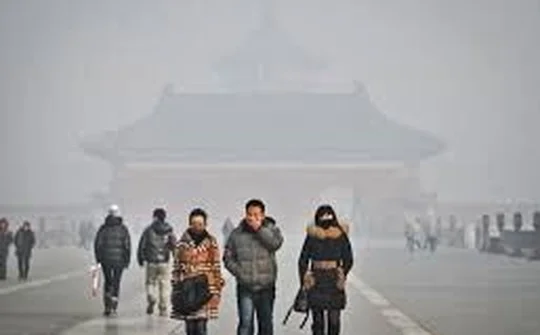 Suy giảm trí thông minh vì không khí ô nhiễm