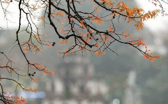 Những địa điểm lý tưởng để 'tận hưởng' mùa thu Hà Nội