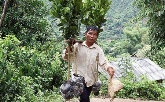 Tín hiệu vui ở vùng lũ Mường La