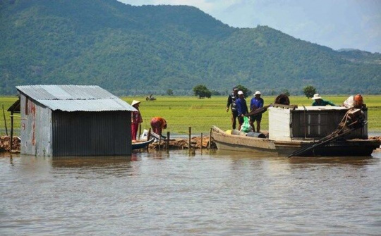 An Giang: Thiệt hại hàng trăm ha lúa do nước lũ dâng cao