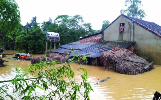 Vietnam deems climate change adaptation mandatory for survival: official