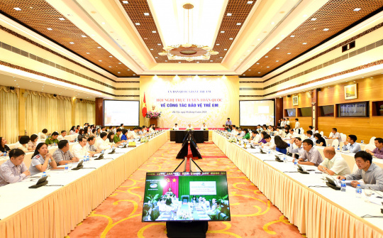 Thủ tướng đề nghị các xã bố trí ngay người làm công tác bảo vệ trẻ em