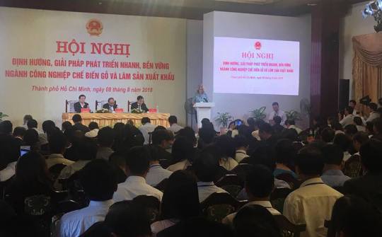 Triển vọng mới cho ngành công nghiệp chế biến gỗ Việt Nam