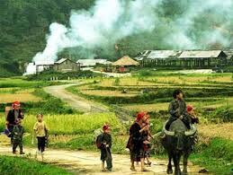 Ngân sách TW hỗ trợ các huyện nghèo, thoát nghèo