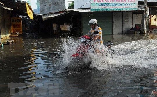 Thành phố Hồ Chí Minh kêu gọi đầu tư 17 dự án giảm ngập