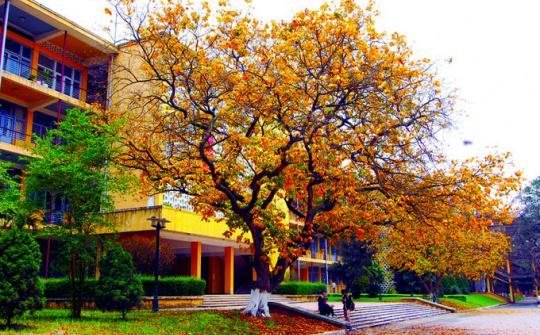 Những trường đại học có khuôn viên đẹp nhất Hà Nội