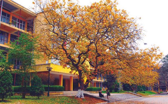 Những trường đại học có khuôn viên đẹp nhất Hà Nội