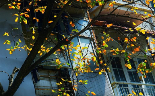 Hà Nội đẹp nao lòng những ngày đầu thu