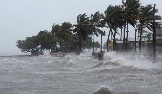 Công điện ứng phó cơn Bão số 5 và siêu Bão Mangkhut