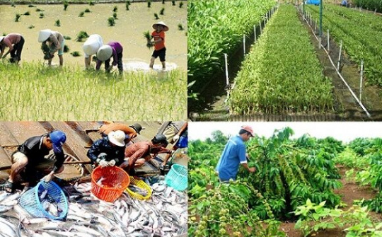 Tăng mức cho vay hộ nông dân khi không có tài sản bảo đảm