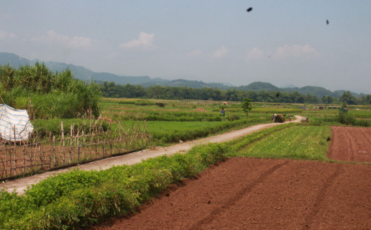 Chuyển mục đích sử dụng đất cho tỉnh Yên Bái