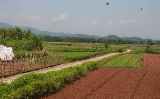 Chuyển mục đích sử dụng đất cho tỉnh Yên Bái