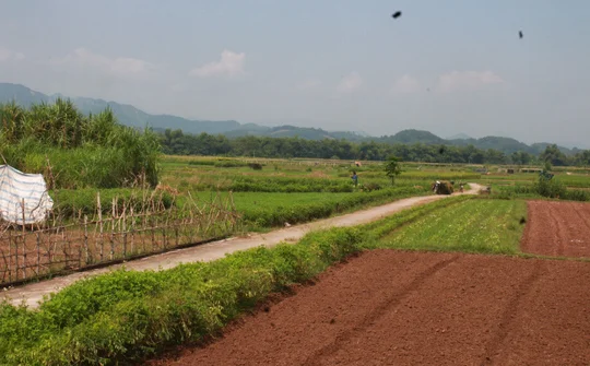 Chuyển mục đích sử dụng đất cho tỉnh Yên Bái