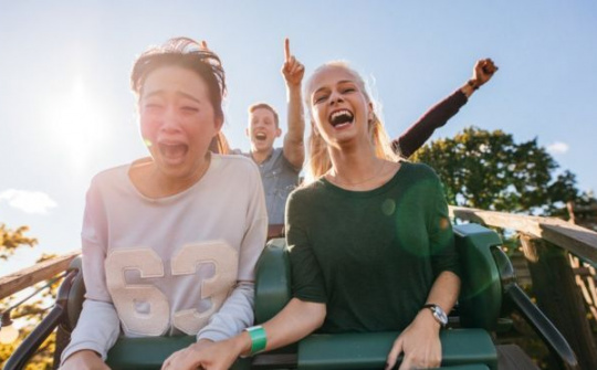 Nghiên cứu 'tàu lượn siêu tốc giúp loại bỏ sỏi thận' đoạt giải Ig Nobel 2018