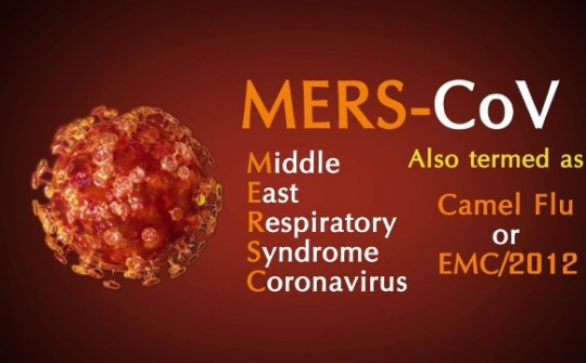 Health Ministry recommends preventive measures against MERS-CoV