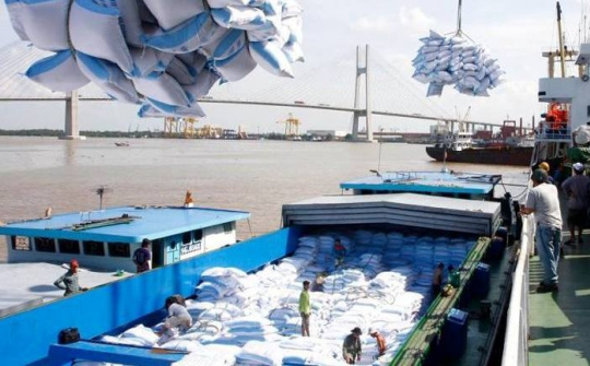 Vietnam’s rice exports up in both volume and value in first eight months