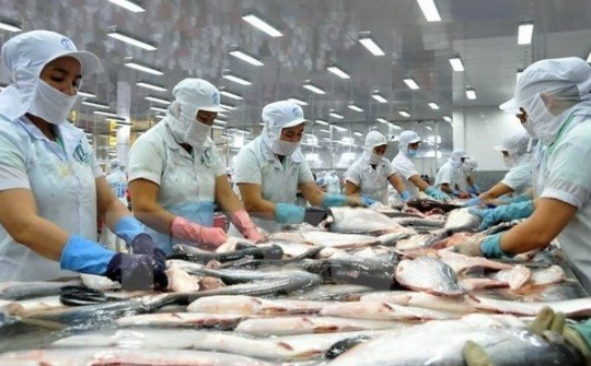 Vietnam qualified to export catfish to the US
