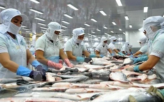 Vietnam qualified to export catfish to the US