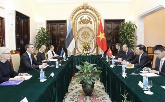 Vietnam, Estonia eye stronger bilateral ties