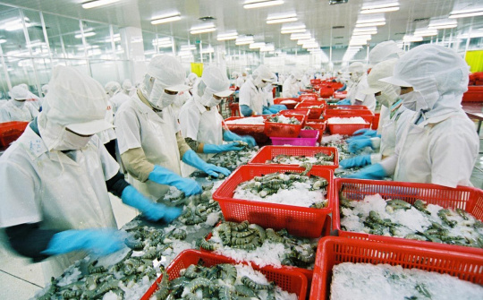 Đề xuất mức tiêu hao năng lượng trong ngành chế biến thủy sản