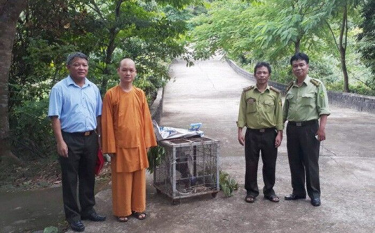 Huế: Nhiều loài động vật trong sách đỏ được thả về tự nhiên