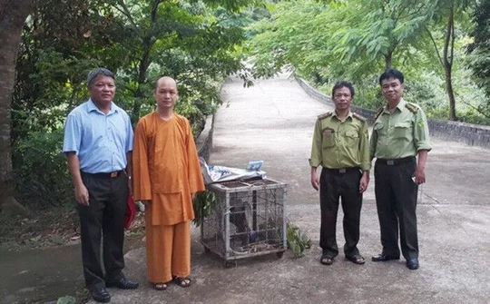 Huế: Nhiều loài động vật trong sách đỏ được thả về tự nhiên