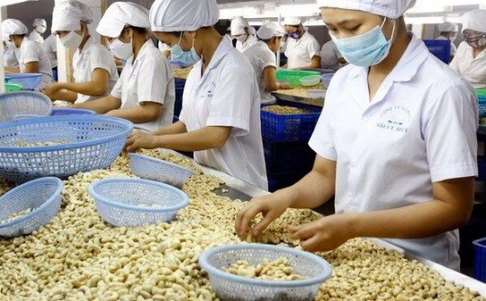 Triển khai giải pháp phát triển sản xuất, thúc đẩy xuất khẩu