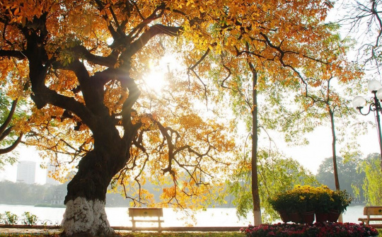 Dự báo thời tiết ngày 20/9: Hà Nội trời giảm mưa, chuyển nắng