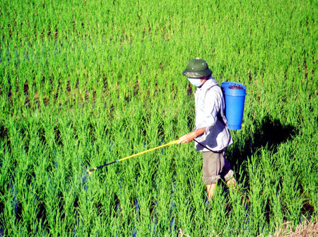 Sửa một số quy định về điều kiện đầu tư, kinh doanh lĩnh vực nông nghiệp