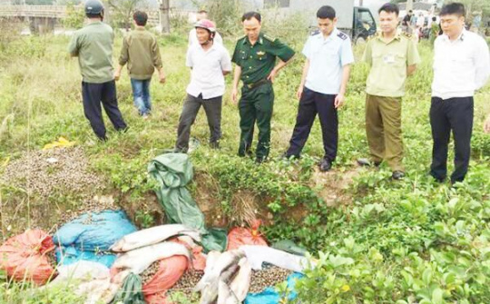 Quảng Ninh yêu cầu xác minh thông tin thịt lợn nhập lậu