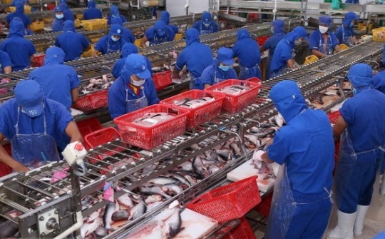 Vietnam seafood exports to ASEAN expected to reach US$1 billion soon