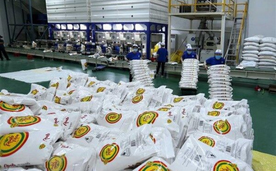Kỳ vọng về xuất khẩu gạo trong những tháng cuối năm