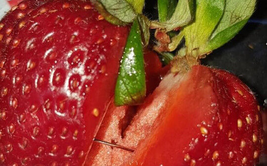 Úc: Sau dâu tây tới lượt xoài, chuối, táo bị ghim kim nhọn