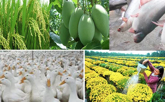 Sơ kết 5 năm thực hiện Đề án tái cơ cấu nông nghiệp