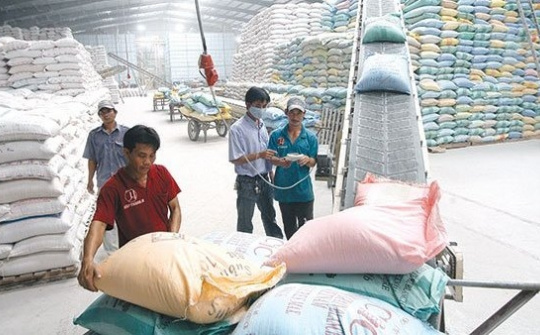 Vietnam to host World Rice Conference in October