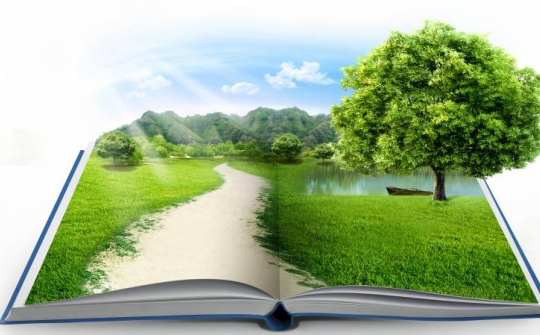 Promoting environmental auditing