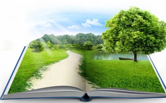 Promoting environmental auditing