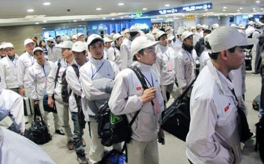 Hơn 500 lao động Việt Nam tại Hàn Quốc bị trục xuất về nước