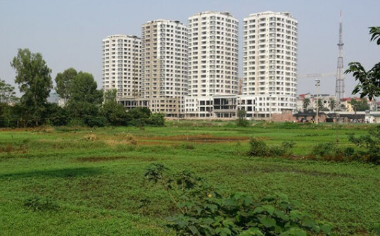 Không có quy định thu hồi một số nội dung trong sổ đỏ