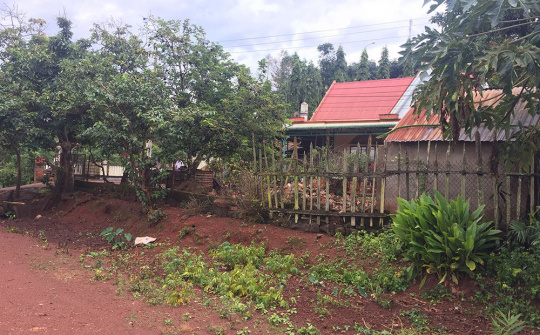 Đắk Nông: Chính quyền 'thờ ơ', đẩy người dân vào vòng lao lý? 