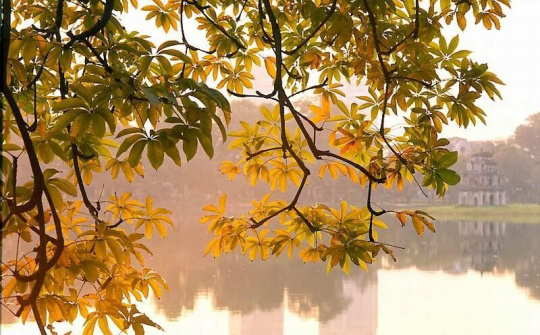 Dự báo thời tiết ngày 26/9: Hà Nội tiếp tục nắng nóng trên diện rộng