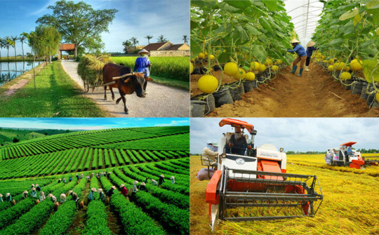 Thủ tướng Chính phủ chủ trì Hội nghị trực tuyến toàn quốc về nông nghiệp, nông dân, nông thôn