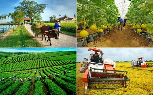 Thủ tướng Chính phủ chủ trì Hội nghị trực tuyến toàn quốc về nông nghiệp, nông dân, nông thôn
