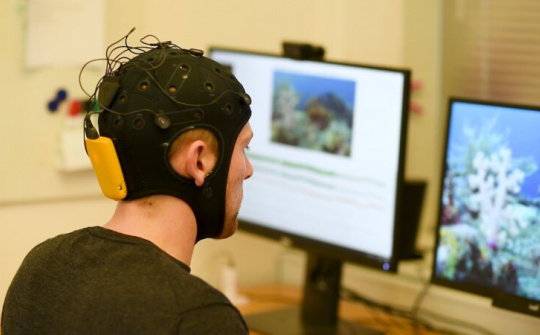 Chế tạo thiết bị vẽ lại hình ảnh trong đầu