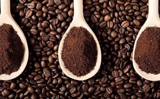 Giá cà phê trong nước 'lội ngược dòng', tăng 100 đồng/kg