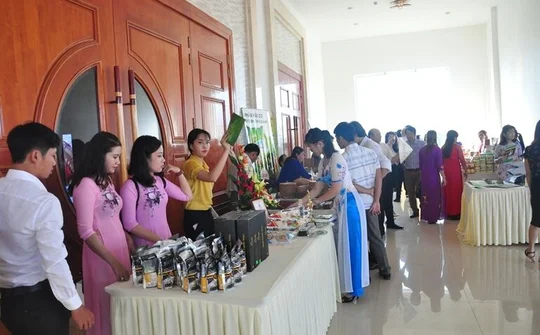 Kết nối giao thương giữa doanh nghiệp Việt Nam - Lào