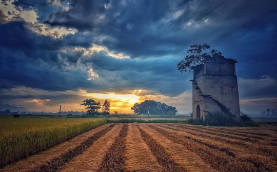 Tuổi trẻ ơi, xách ba lô lên và đi thôi