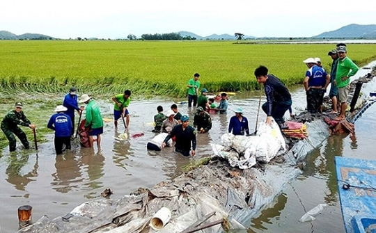 PM urges active flood response in Mekong Delta and northern region